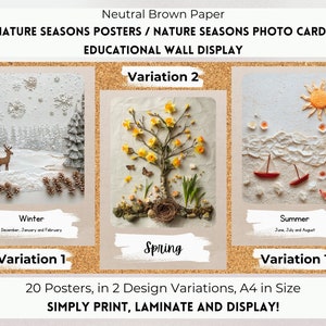 Natur Jahreszeiten Poster, Jahreszeiten Poster, Jahreszeiten Fotokarten, Jahreszeiten Karte Poster, Neutrales Dekor, EYFS Vorschule Klassenzimmer Dekor.