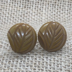 May include: A pair of brown, round, carved plastic buttons with a leaf design.