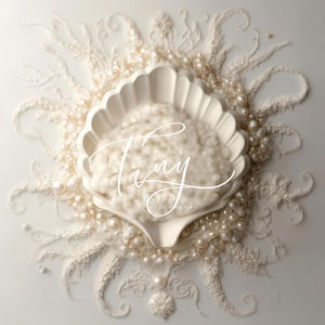 Puede incluir: Una concha blanca con un interior blanco esponjoso, rodeada de perlas blancas y un fondo blanco. El texto "Tiny Bliss Photography" está escrito en cursiva en la concha.