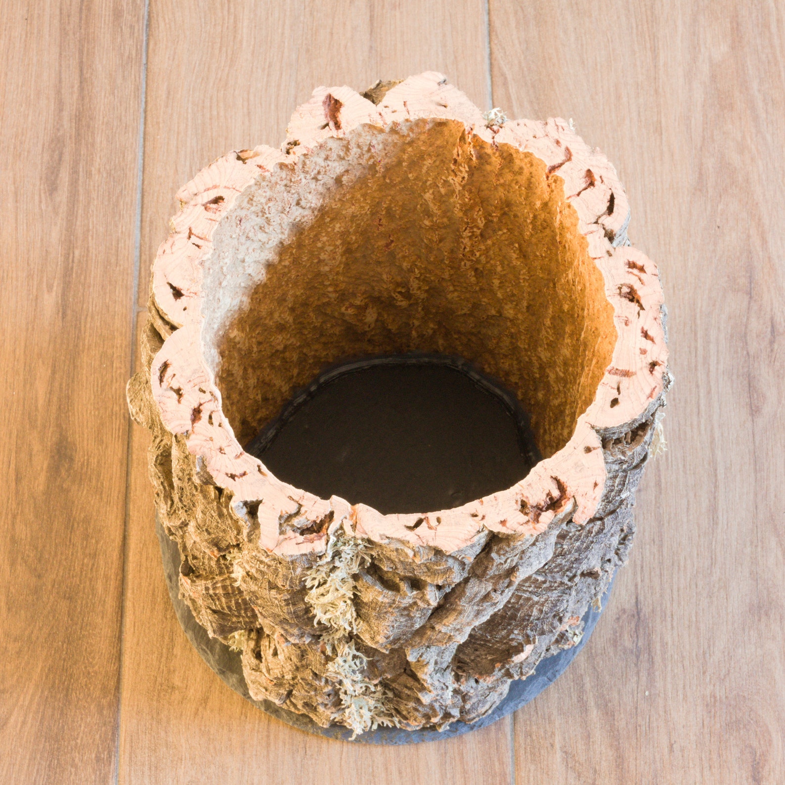 VerKORKst Premium Küchen Aufbewahrung aus Korkrinde | Etsy