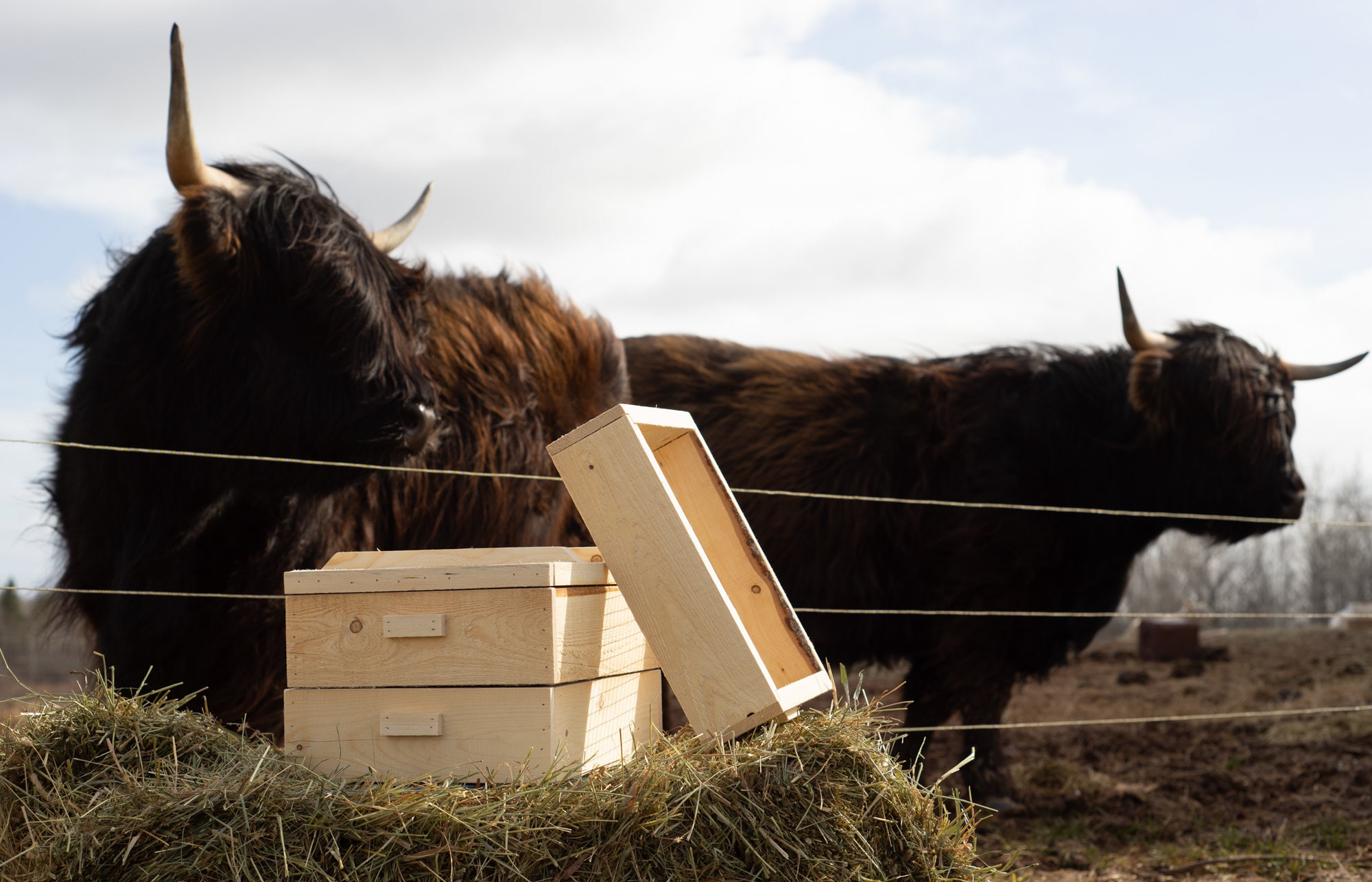 Wooden Worm Composter Farm Bin for and Garden Etsy Canada