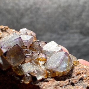 以下が含まれることがあります： 茶色の岩の上に、紫と透明な蛍石の結晶の塊。結晶は虹色で、ガラスのような光沢があります。