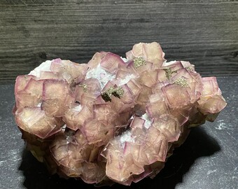 May include: A cluster of purple fluorite crystals with a small amount of pyrite. The crystals are cubic in shape and have a glassy luster.