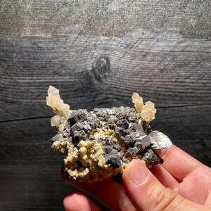 Elestial Quartz Crystal Scepter Like Point Clusters With Dolomite | Inner Mongolia Old Find Rare Mineral Specimens