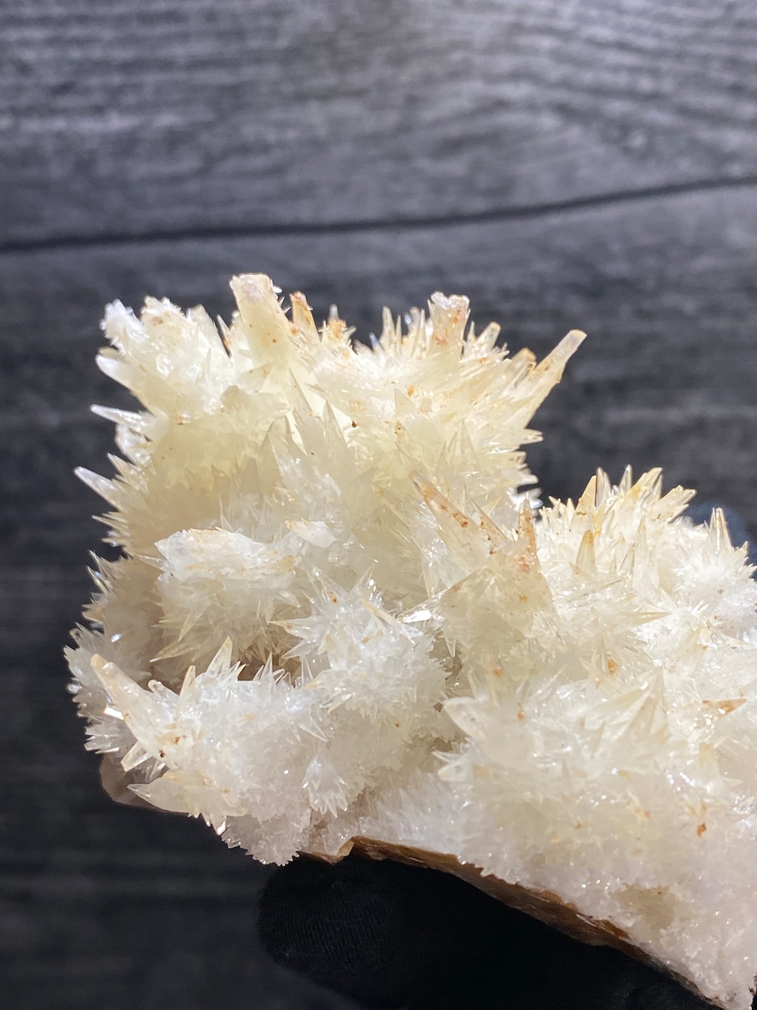 オーストラリア産の黄色いアラゴナイト 【公式通販】