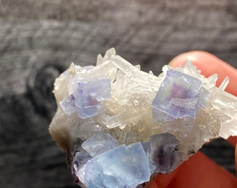 May include: A cluster of blue fluorite crystals with clear quartz crystals. The fluorite crystals are cubic in shape and have a translucent appearance. The quartz crystals are long and slender.
