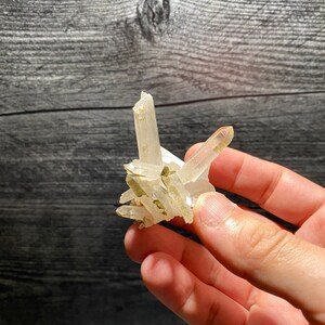 Beautiful Phantom Inclusion Quartz Crystals Cluster Mineral Specimen On Matrix