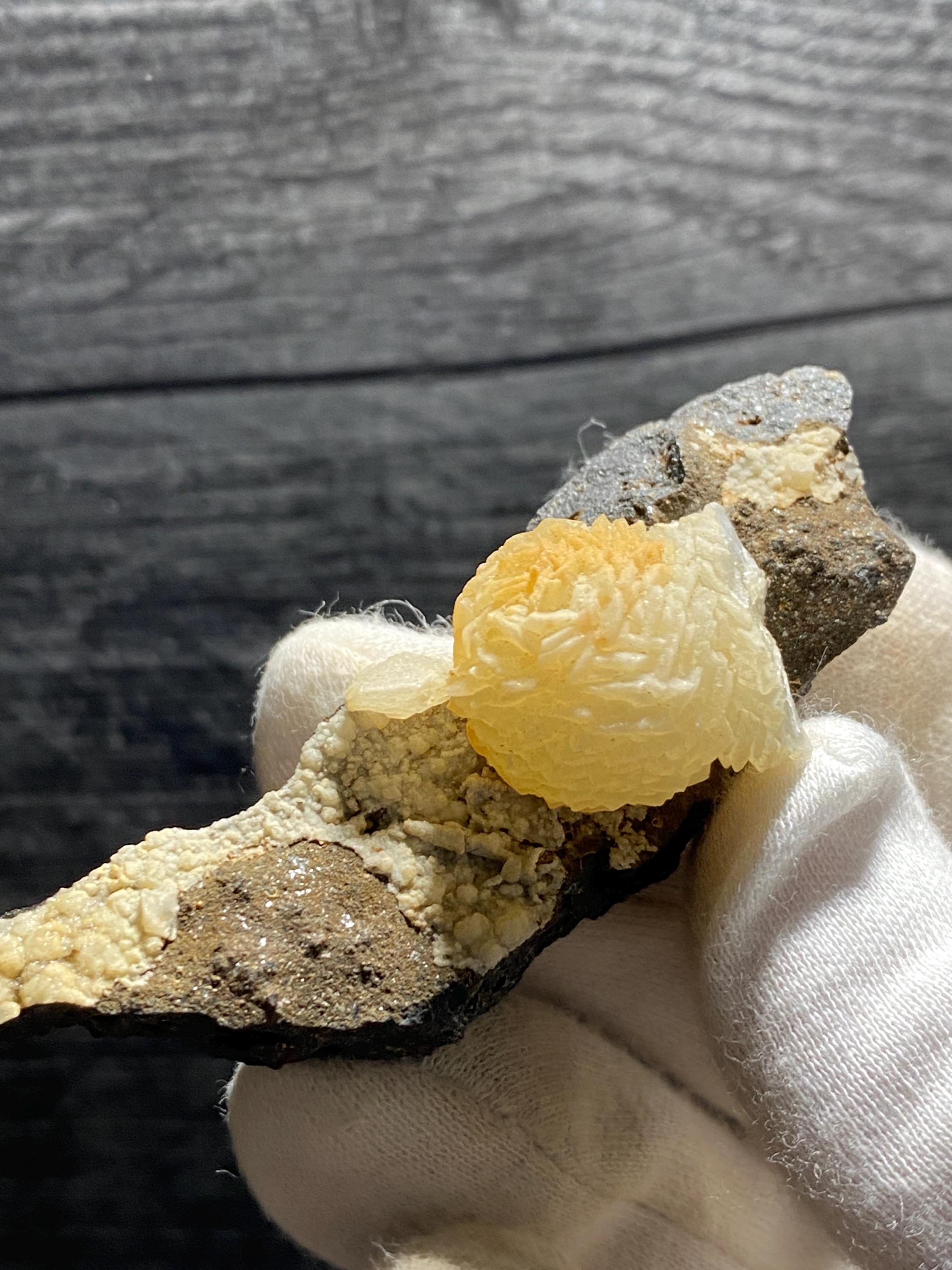 オレンジ色のブドウ状方解石鉱物標本、クジラ型 - Etsy 日本