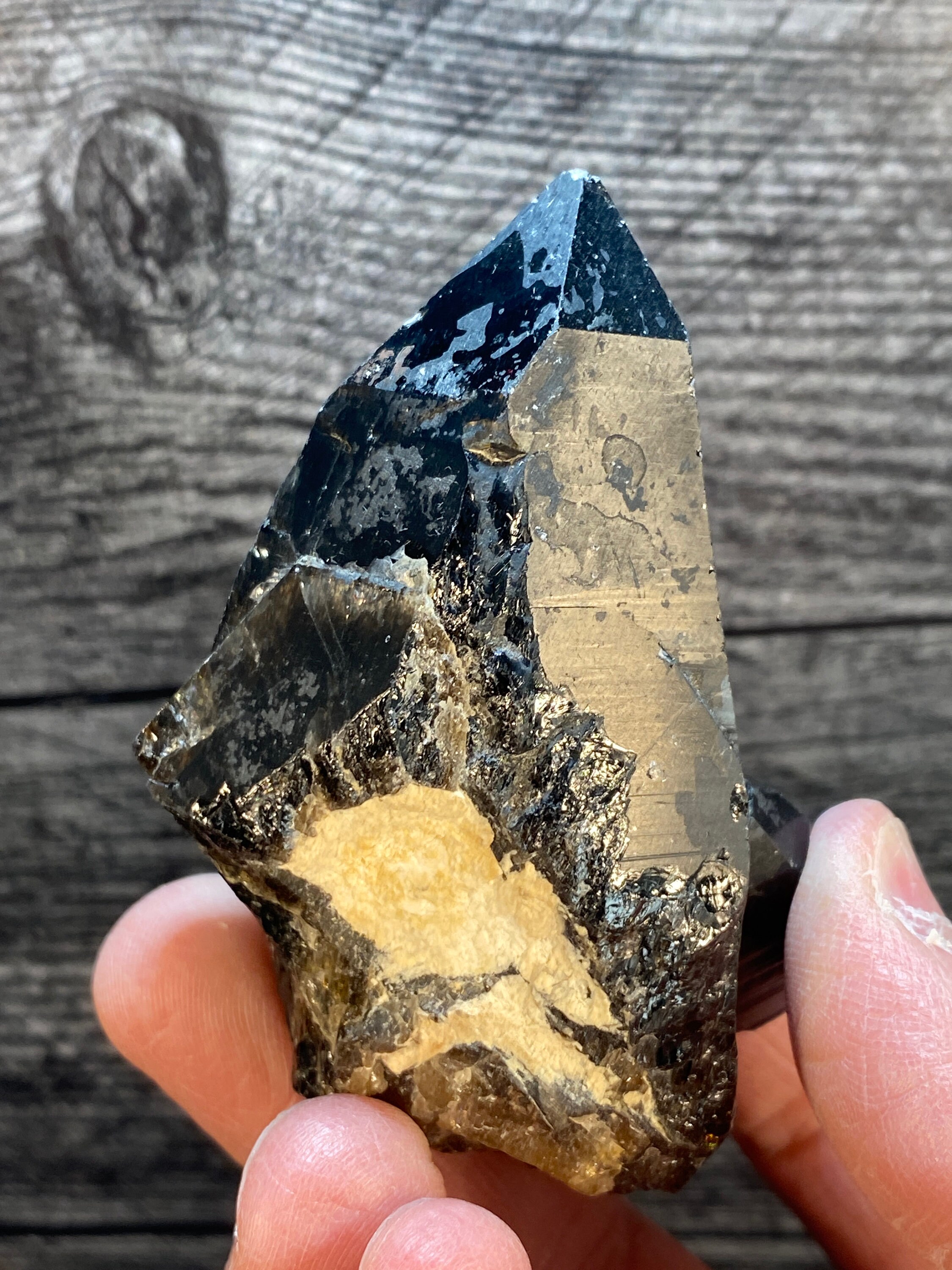 ナミビア産の非常に美しい大きなダークスモーキークォーツポイント