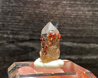 Spessartine Garnet Crystals on Smokey Quartz - Tongbei Mineral Specimen