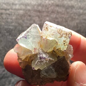 以下が含まれることがあります： 様々な色のフッ素鉱物結晶のクラスター。主に透明で、紫と黄色のヒントがあり、茶色のマトリックスがあります。結晶の幾何学的な形状が明確に定義されており、視覚的に魅力的な鉱物標本を作成しています。