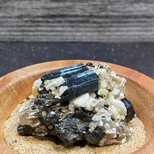 Lustrous Shiny Black Skeletal Structure Tourmaline On Matrix with Muscovite & Mica Mineral Specimen