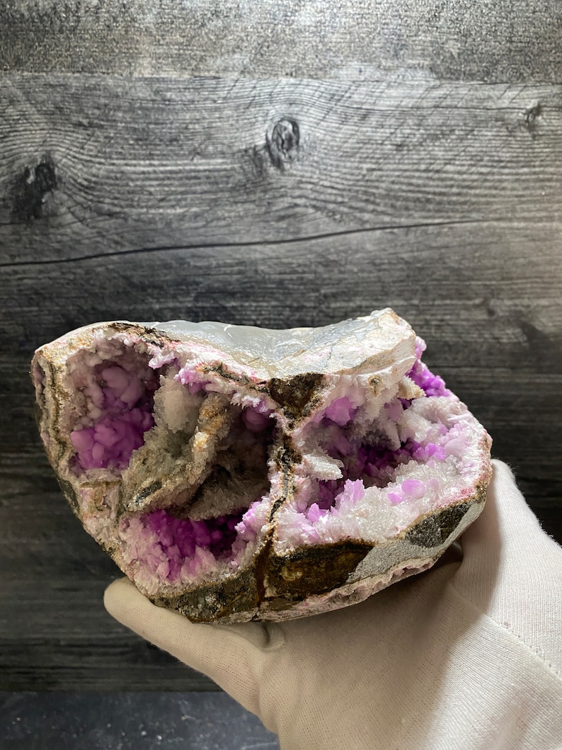 May include: A large geode with a rough exterior and a cavity filled with bright purple crystals. The outer shell is a mix of grey, brown, and white, contrasting with the purple. The geode is held by a gloved hand.