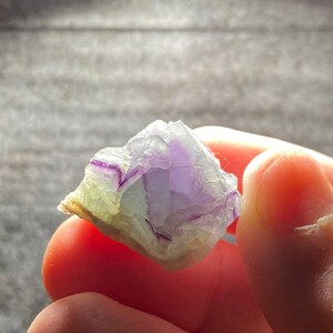 以下が含まれることがあります： ざらざらとした自然な質感の紫と緑の蛍石の結晶。結晶は様々な面があり、半透明です。