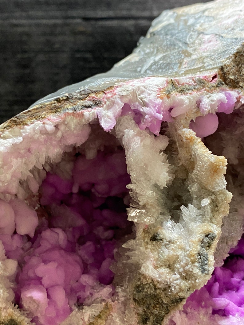 May include: A close-up of a geode featuring a cavity filled with light purple botryoidal formations. The outer rock is a mix of beige, grey, and white, with crystalline structures lining the opening. The geode is a natural mineral specimen.