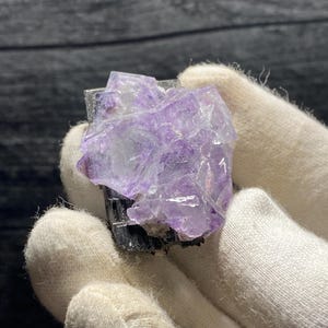 May include: A cluster of purple fluorite crystals on a black matrix. The crystals are translucent and have a glassy luster.