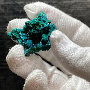 May include: A close-up of a vibrant, teal-colored mineral specimen. The mineral has a crystalline structure with a rough, textured surface. The specimen is held by a gloved hand against a dark background, highlighting its color and form.