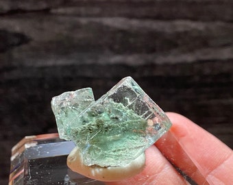 May include: A cluster of green fluorite crystals on a white display stand. The crystals are translucent and have a glassy luster.