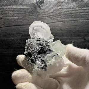 Könnte beinhalten: Ein Cluster aus grünen und klaren Fluoritkristallen auf einer dunkelgrauen Matrix. Die Kristalle sind scharf und gut ausgebildet, mit einem glasartigen Glanz.