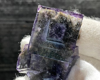 May include: A cluster of purple fluorite crystals with a dark grey, almost black, matrix. The crystals are translucent and have a slight sheen.