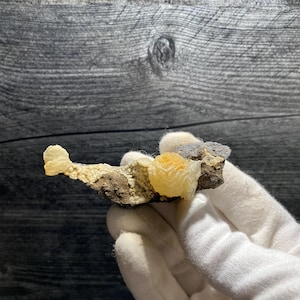 Beautiful Orange & White Botryoidal  Calcites On Matrix Mineral Specimen From Fujian &quot;The Whale&quot;