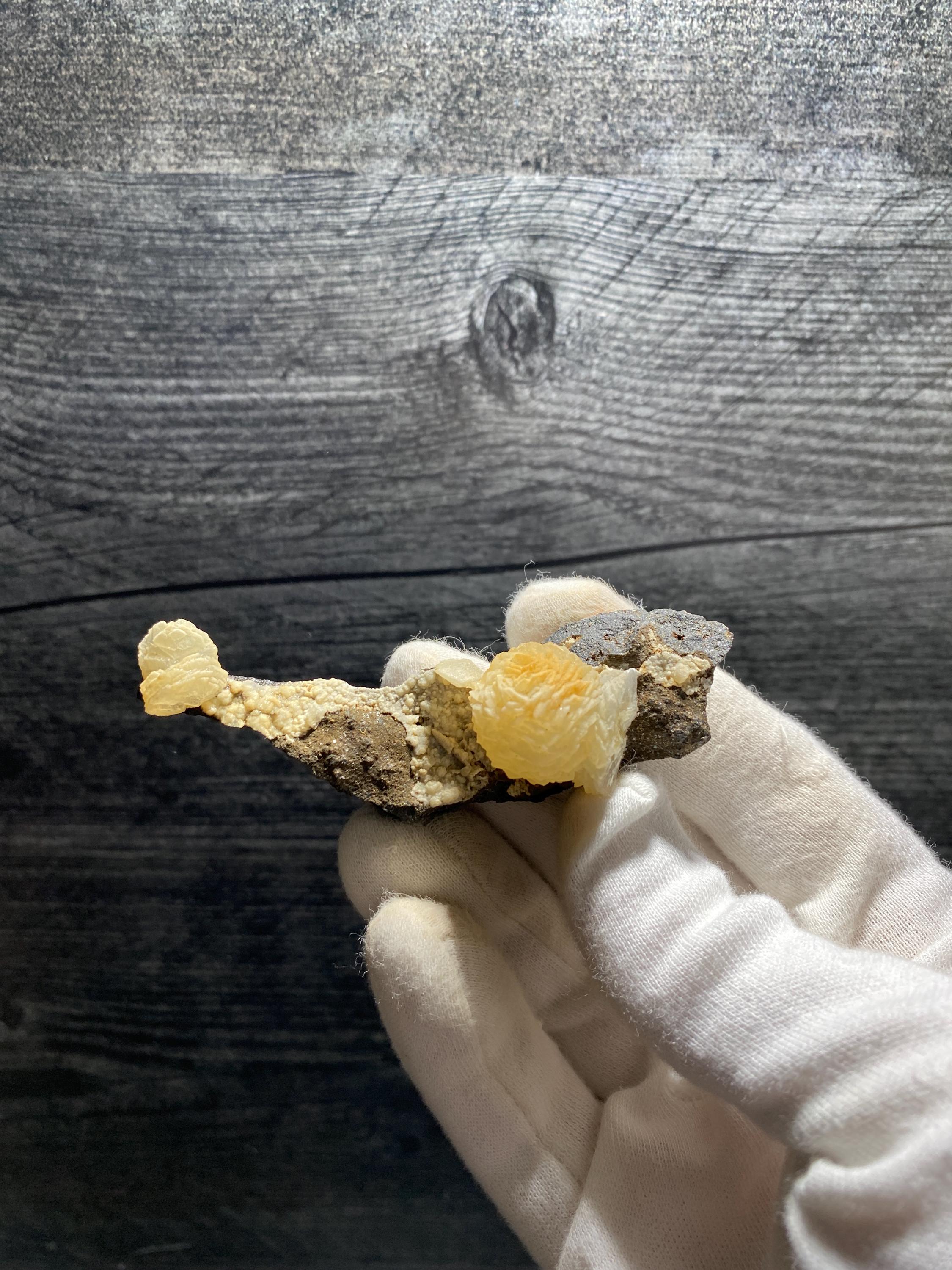 オレンジ色のブドウ状方解石鉱物標本、クジラ型 - Etsy 日本