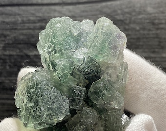 Könnte beinhalten: Ein Cluster aus grünen Fluoritkristallen mit glasartigem, durchscheinendem Aussehen. Die Kristalle sind in einem zufälligen, organischen Muster angeordnet, was eine einzigartige und interessante Darstellung ergibt.