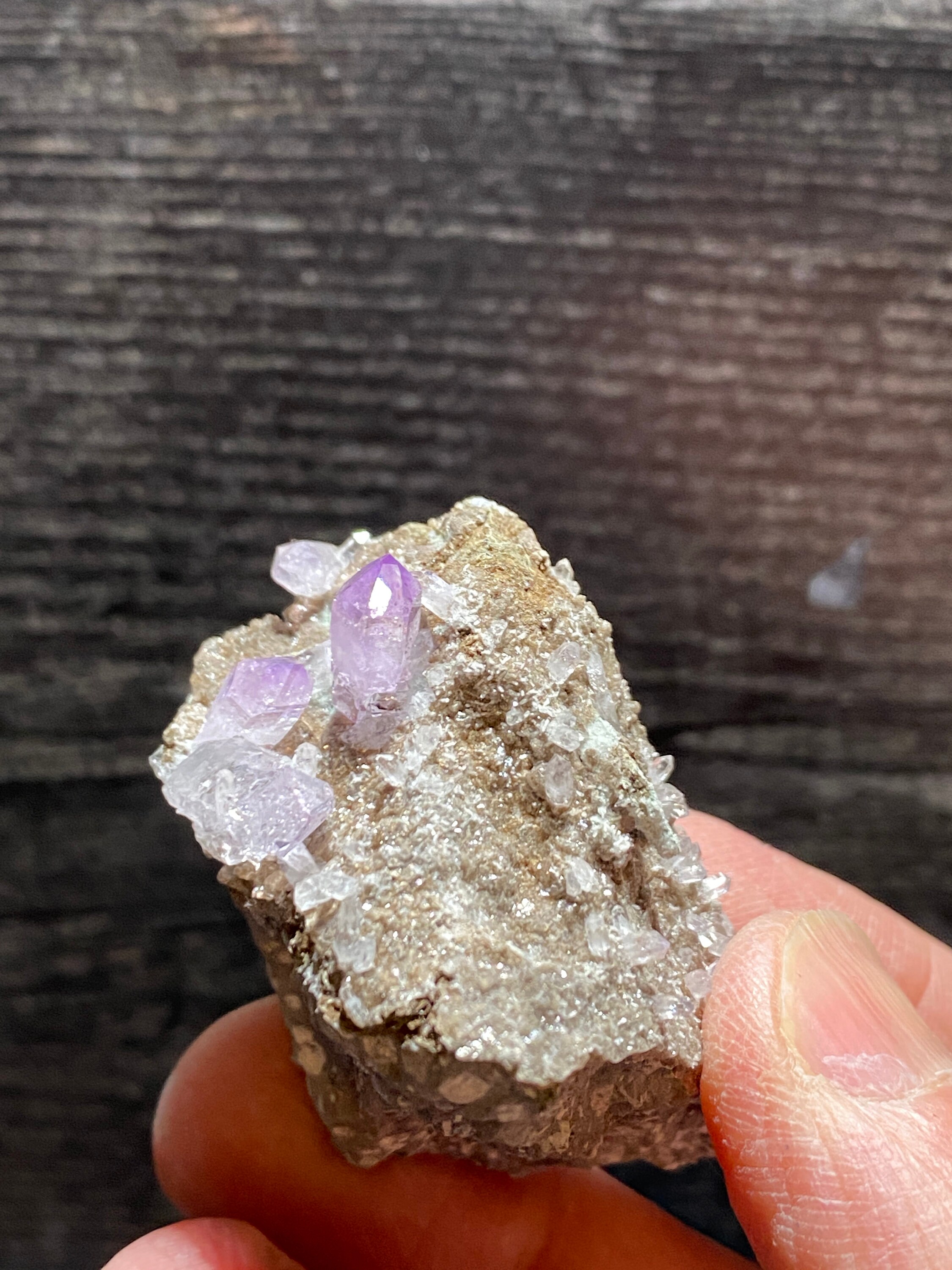 ベラクルス アメジスト 結晶 原石 クラスター 鉱物 鉱石 標本 水晶 クォーツ 楽天市場】◇ベラクルス産◇ アメジスト クラスター 原石迫力の