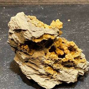 Puede incluir: Una roca gris rugosa con un grupo de pequeños cristales amarillos que crecen en ella. Los cristales están agrupados en una formación similar a una cueva.
