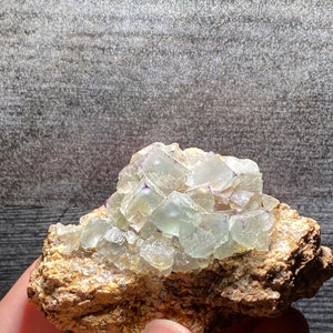 以下が含まれることがあります： 茶色の岩の基質に、紫色のアクセントのある薄い緑色の蛍石の結晶の塊