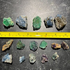 以下が含まれることがあります： 緑、青、紫の様々なサイズと形の蛍石の結晶が15個集められています。結晶は、黄色のメジャーテープのある暗い灰色の表面に配置されています。