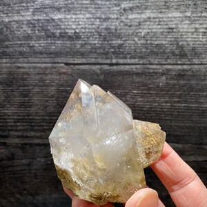 Könnte beinhalten: Ein klarer Quarzkristall mit doppelter Endung und Einschlüssen von braunen und goldenen Mineralien. Der Kristall liegt auf einer Hand.