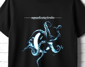 Vintage A Perfect Circle Shirt Thirteenth Step / 13th Steps Heavy