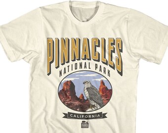 Pinnacles Men's T-Shirt Peregrine Falcon California National Park