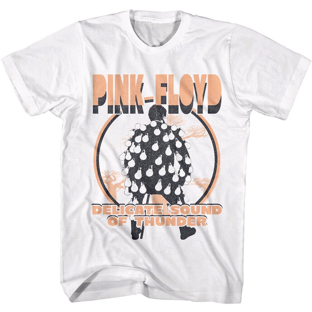 Pink floyd delicate sound store of thunder t shirt