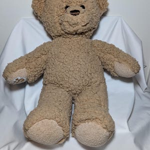 May include: A plush teddy bear with a light brown, textured exterior. The bear has a stitched black nose and a friendly expression. The paws and soles of the feet are a lighter shade of brown. A classic children's toy.