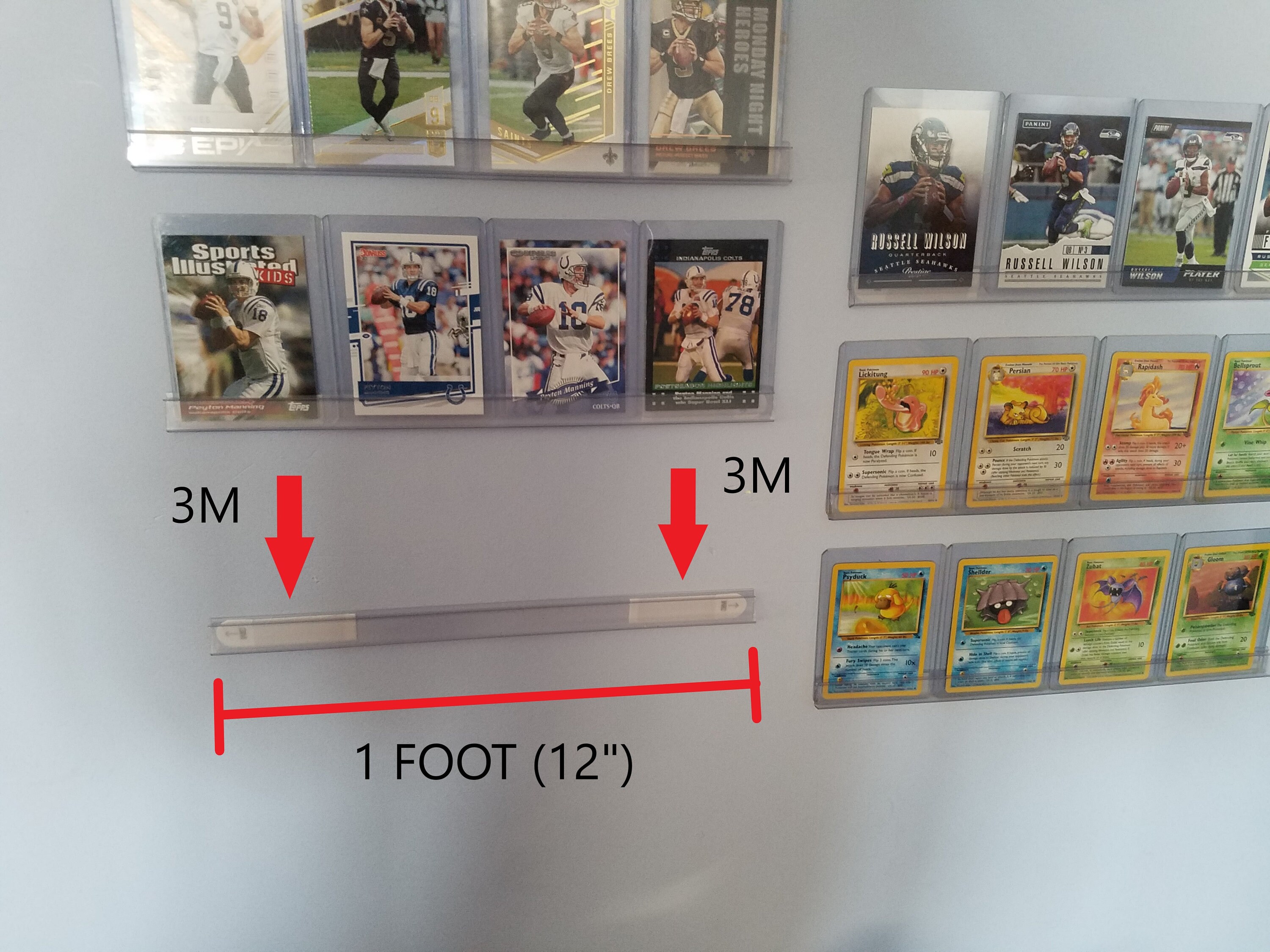 Trading Card Display, Displays up to 24 Cards, Qty 6 1 Foot Rails + Qty ...