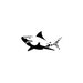 Shark Craft