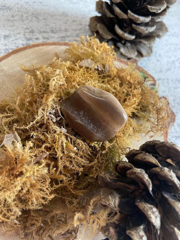 Bois Fossile - Pierre Roulée