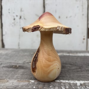 Hand Turned Wood Mushroom: Decorative Juniper Sculpture