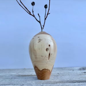 May include: A light-colored, smooth wooden vase with a tapered base and a rounded body featuring natural wood grain patterns, small knots, and indentations. A thin, dark brown, leafless twig with two small buds is placed inside the narrow opening.