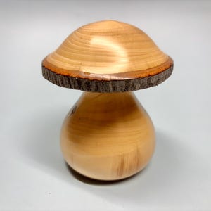 Hand Turned Wood Mushroom: Salvaged Serviceberry Toadstool