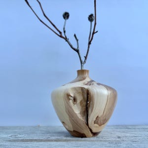 May include: A small, rounded wooden vase with a smooth, polished finish featuring natural light and dark wood grain patterns. A single, thin, bare brown branch with two small, dark, round buds at the top is inserted into the narrow opening.