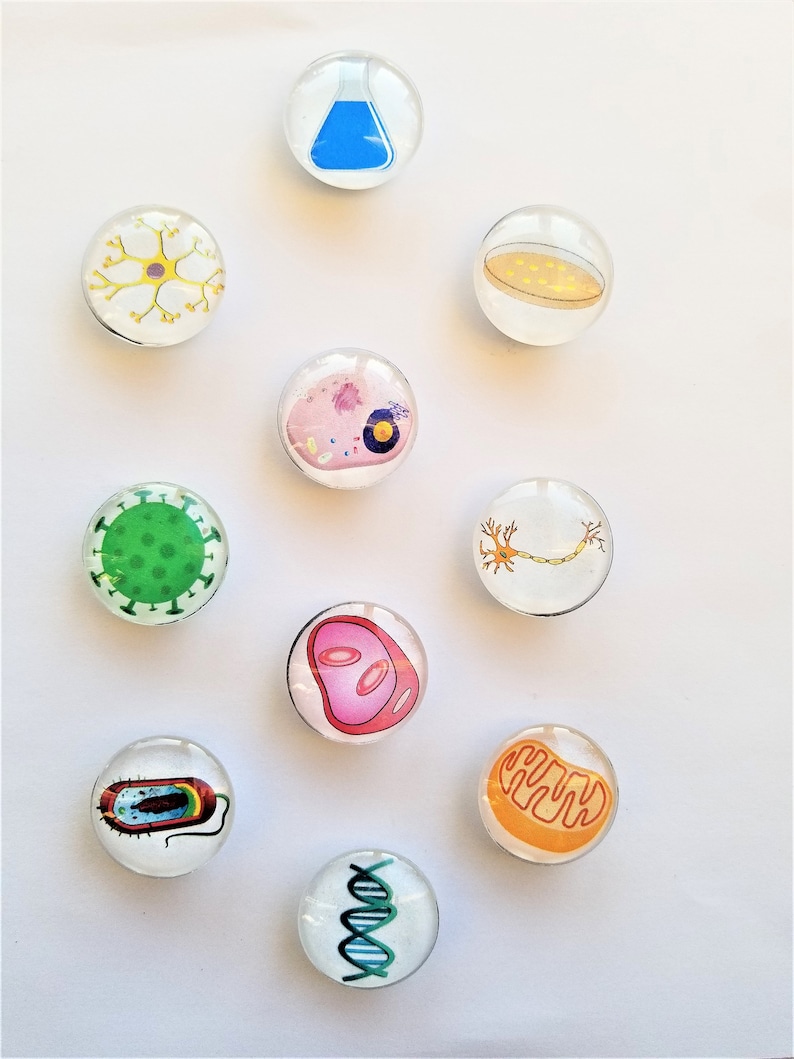 Life Science Magnets Biology Glass Fridge Magnets, Science Teacher Gift, Set of 10 - Etsy