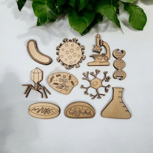 10 Biology Fridge Magnets for Gift, Refrigerator Magnets, Decorative Desk Whiteboard Magnets - 1.75" Wood