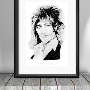 Rod Stewart - Die Gesichter