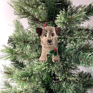 May include: A felt dog Christmas ornament with brown ears and a black nose, decorated with a sprig of holly. The ornament is hanging on a green Christmas tree.