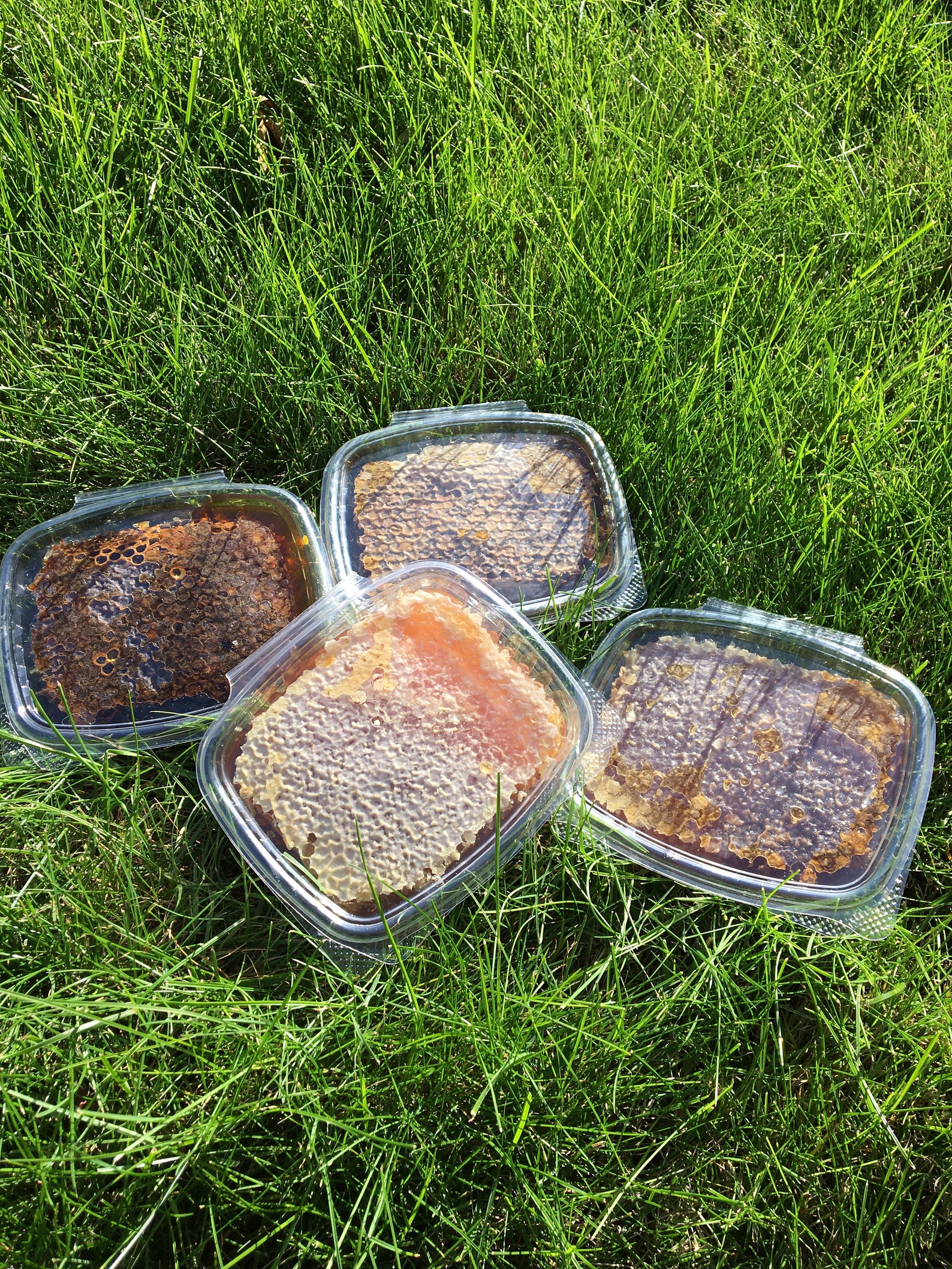 $25 and under Raw Honeycomb Perfect Holiday Treat | Etsy