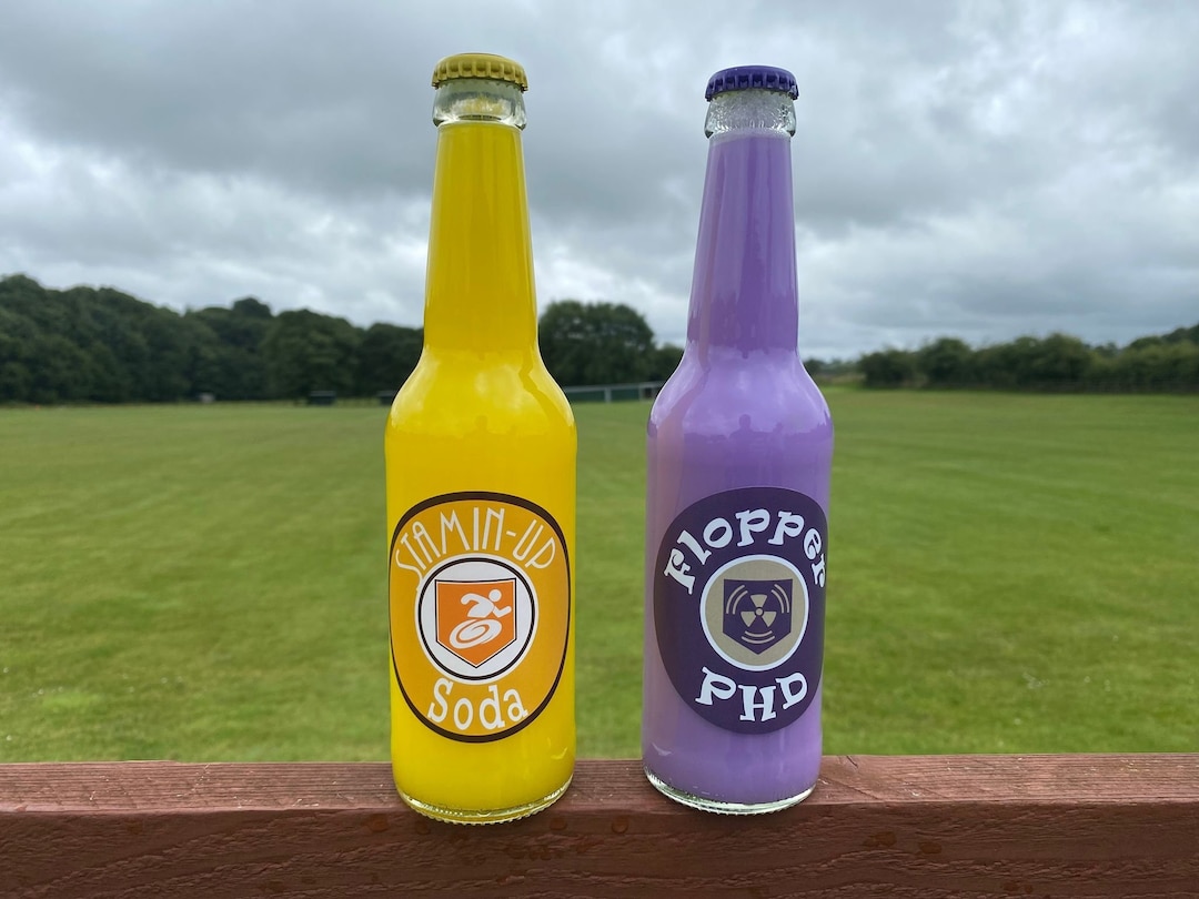 Call of Duty Black Ops Zombie Perk Bottle 2 PHD Flopper Stamin up Xbox