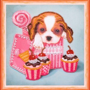 May include: A brown and white puppy with brown eyes peeks out of a pink and white striped box with a pink lollipop and three pink and white cupcakes with chocolate frosting and red cherries on top.